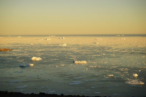 greenland ice icebergs