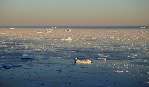 greenland mer de glace arctic circle