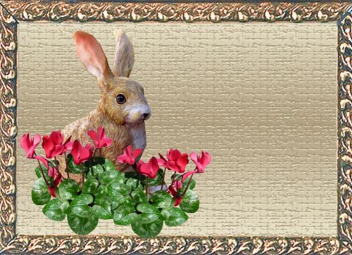 greeting card rabbit cyclamen