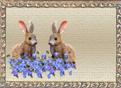 greeting card rabbits blue flowers