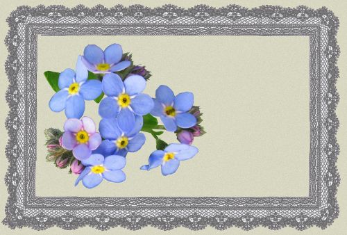 greeting card blue flower