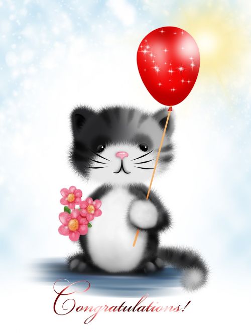 greeting card kitten flower