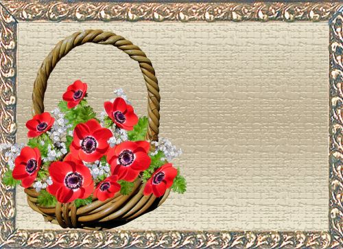 greeting card anemone basket