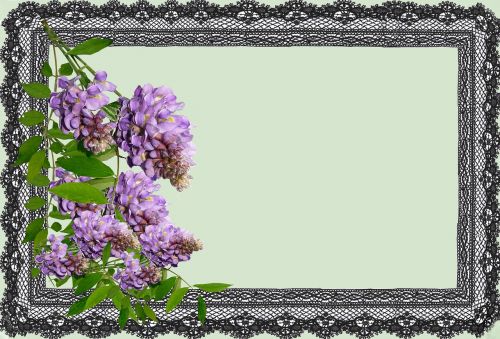 greeting card wisteria design