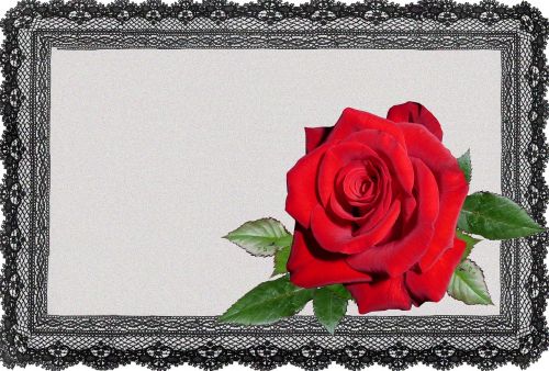 greeting card lace frame red rose