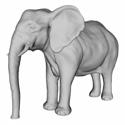 Grey Elephant