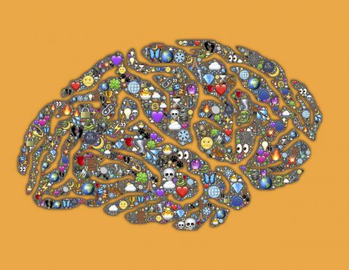 grey matter mind brain