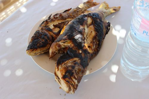 grilled fish fish food