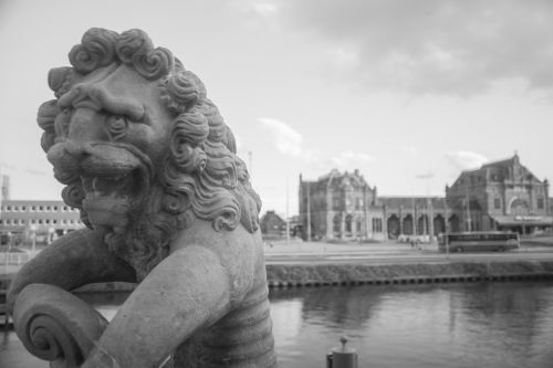 groningen statue lion