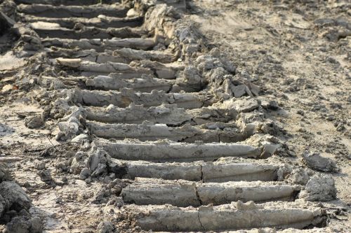 ground tire tracks excavator tracks