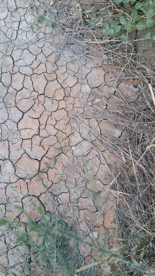 ground dryness drought