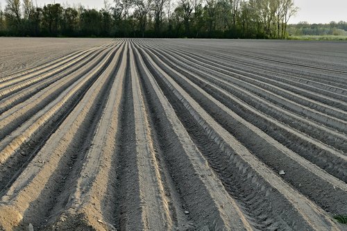 ground  treatment  field