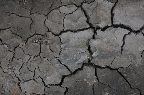 ground  dry  stranded tramples over