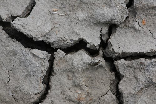 ground  dry  stranded tramples over