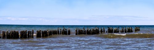 groynes coastal protection baltic sea