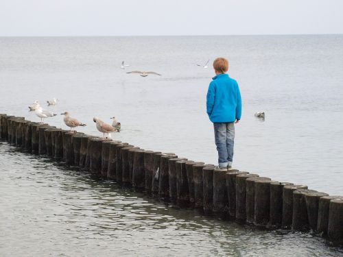 groynes child sea