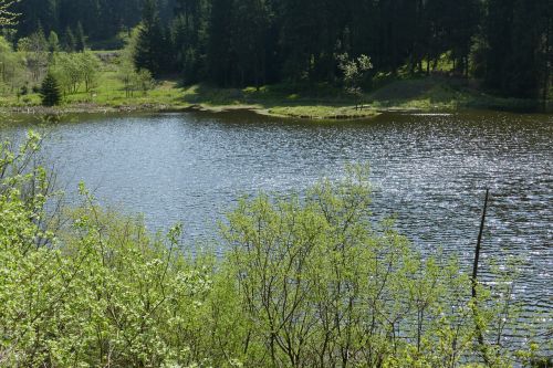 grumbach pond lake water