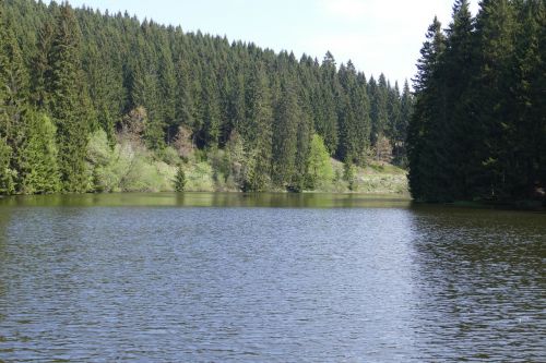 grumbach pond lake water