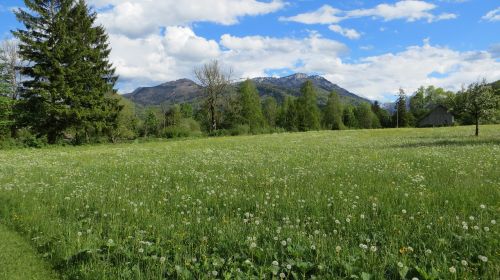 grünau meadow alps