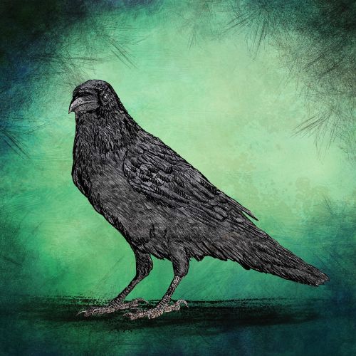 grunge vintage crow