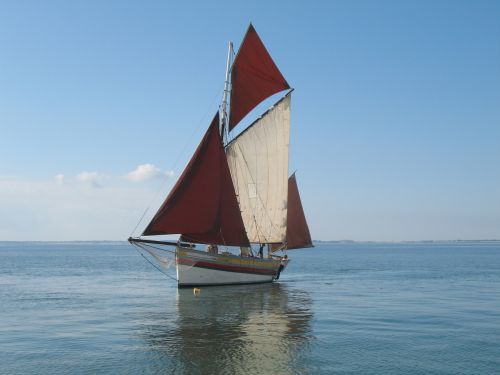 guadeloupe sea coconut