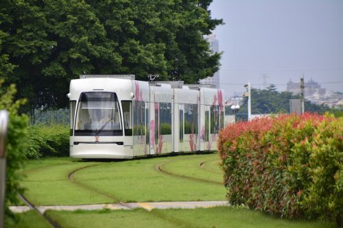 guangzhou tram white