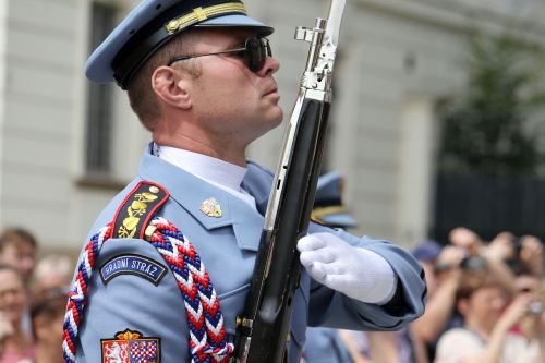 guard rifle czech