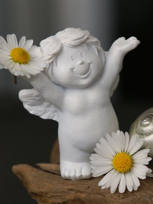 guardian angel daisy cheerful