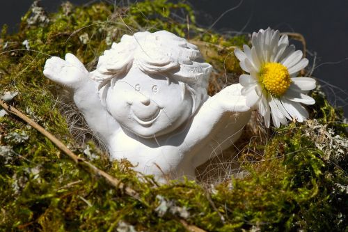 guardian angel daisy cheerful