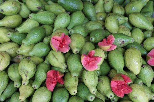 guava fruit healthy