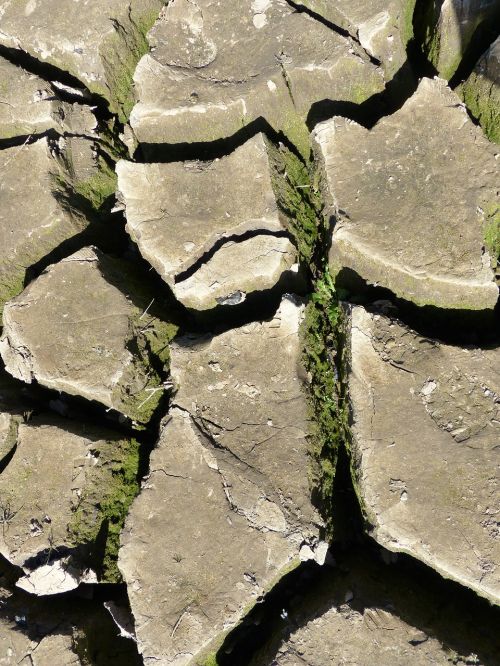 guerledan cracked earth mud