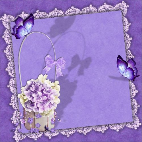 guestbook purple butterfly