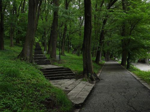 guidance footpath wood