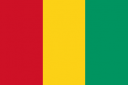 guinea flag national flag