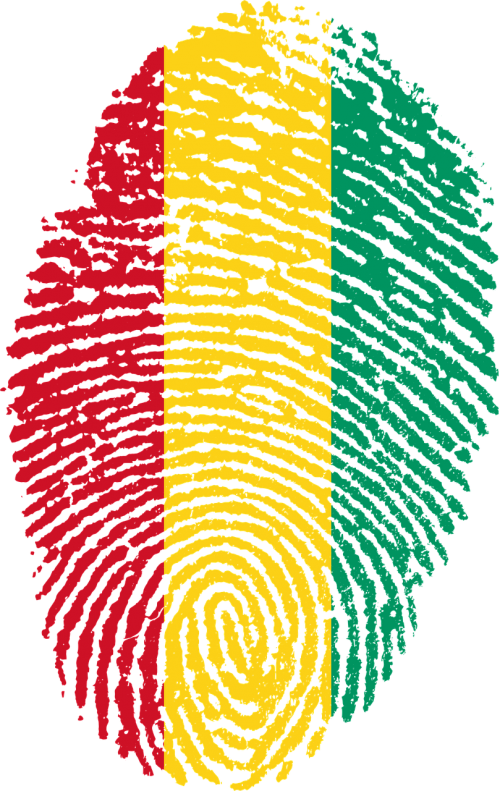 guinea flag fingerprint