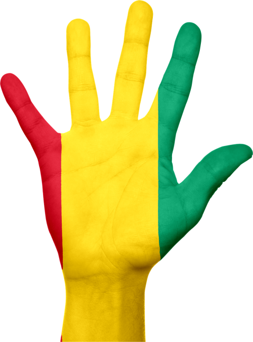 guinea flag hand