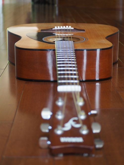 guitar music instrument