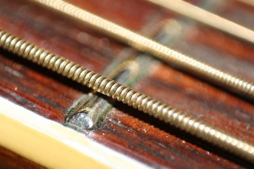 guitar string instrument