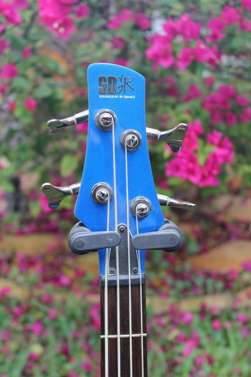 guitar blue instrument