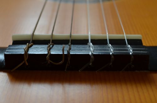guitar close musical instrument