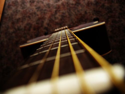 guitar strings macro