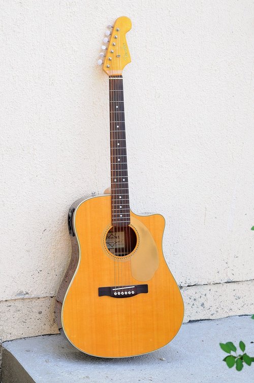 guitar  instrument  wood