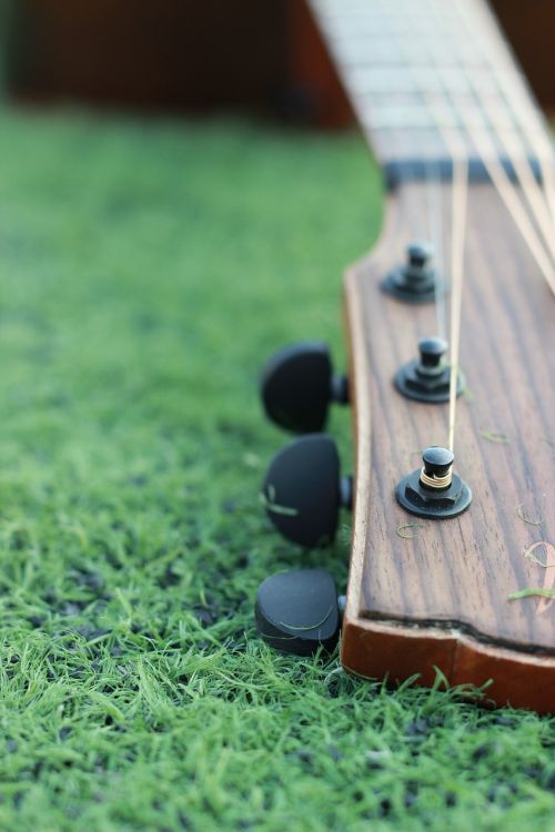 guitar grassland green