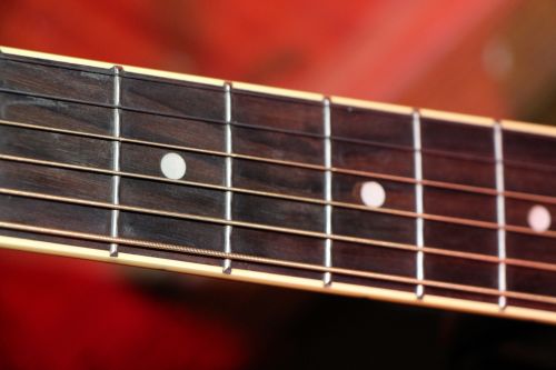 Guitar Frets