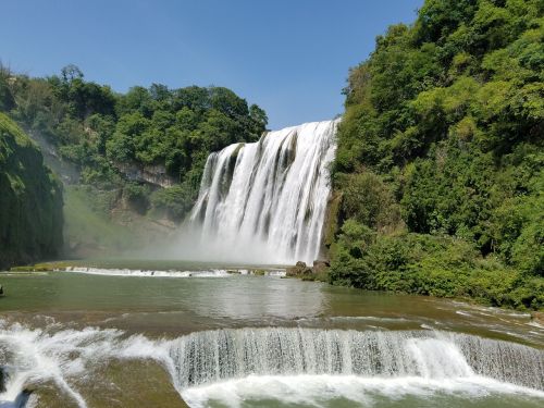 guizhou flower fruit falls falls