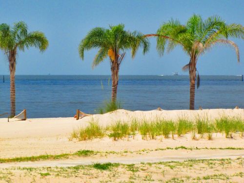 gulf coast beach