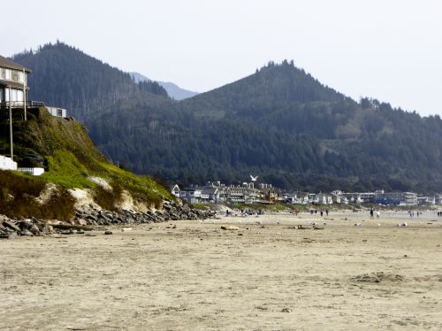 Gulls And People At The Beach