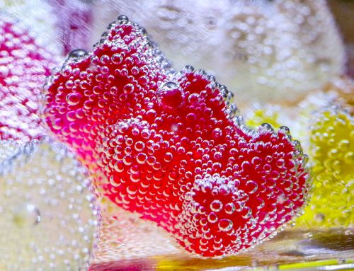 gummibär fruit jelly candy