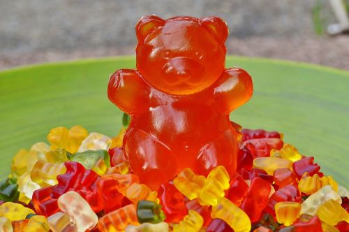 gummibärchen giant rubber bear gummibär