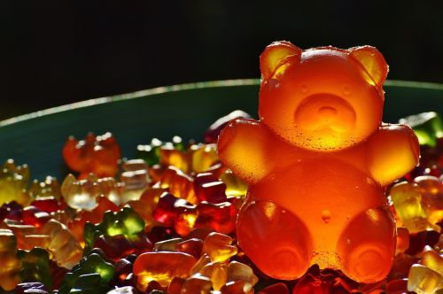 gummibärchen giant rubber bear gummibär